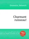 Charmant ruisseau! - H. Domnich