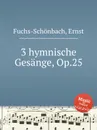 3 hymnische Gesange, Op.25 - E. Fuchs-Schönbach