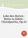 Lobe den Herren - Maria zu lieben - Choralpartita, Op.54 - E. Fuchs-Schönbach