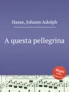 A questa pellegrina - J.A. Hasse