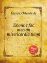 Domine fac mecum misericordia tuum - O.de Lassus