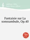 Fantaisie sur La somnambule, Op.40 - L.J. Lefébure-Wély