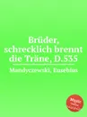 Bruder, schrecklich brennt die Trane, D.535 - E. Mandyczewski