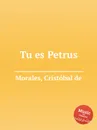 Tu es Petrus - C. de Morales