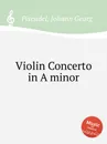 Violin Concerto in A minor - J.G. Pisendel