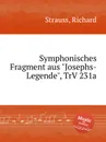 Symphonisches Fragment aus 