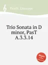 Trio Sonata in D minor, PasT A.3.3.14 - G. Torelli