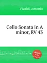 Cello Sonata in A minor, RV 43 - A. Vivaldi