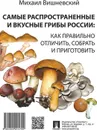 Самые распространенные и вкусные грибы России. Как правильно отличить, собрать и приготовить - Вишневский М.В.