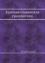 Краткая славянская грамматика - Петр Виноградов