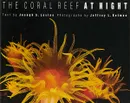 The Coral Reef at Night - Joseph S. Levine, Jeffrey L. Rotman