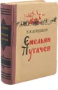 Емельян Пугачев. Историческое повествование. В трех книгах. Книга 2 - Вячеслав Шишков