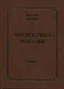 Энергетика России. Том 3 - В.В. Бушуев