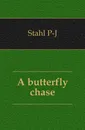A butterfly chase - Stahl P-J