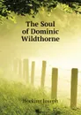 The Soul of Dominic Wildthorne - Hocking Joseph