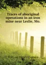 Traces of aboriginal operations in an iron mine near Leslie, Mo. - Holmes William Henry