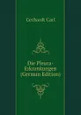 Die Pleura-Erkrankungen (German Edition) - Gerhardt Carl