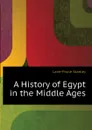 A History of Egypt in the Middle Ages - Stanley Lane-Poole