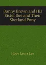 Bunny Brown and His Sister Sue and Their Shetland Pony - Hope Laura Lee
