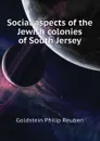 Social aspects of the Jewish colonies of South Jersey - Goldstein Philip Reuben