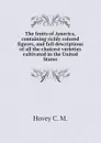 The fruits of America, containing richly colored figures, and full descriptions of all the choicest varieties cultivated in the United States - Hovey C. M.