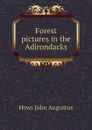 Forest pictures in the Adirondacks - Hows John Augustus