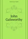 John Galsworthy - Kaye-Smith Sheila