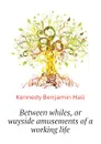 Between whiles, or wayside amusements of a working life - Kennedy Benjamin Hall