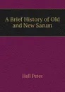 A Brief History of Old and New Sarum - Hall Peter