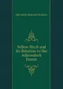 Yellow Birch and Its Relation to the Adirondack Forest - McCarthy Edward Florince