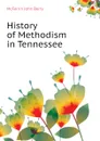 History of Methodism in Tennessee - McFerrin John Berry