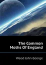 The Common Moths Of England - Wood John George