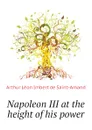 Napoleon III at the height of his power - Arthur Léon Imbert de Saint-Amand