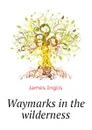 Waymarks in the wilderness - Inglis James