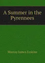 A Summer in the Pyrennees - Murray James Erskine