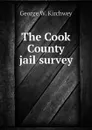 The Cook County jail survey - George W. Kirchwey