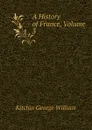 A History of France, Volume 3 - Kitchin George William