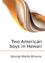 Two American boys in Hawaii - George Waldo Browne