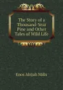 The Story of a Thousand-Year Pine and Other Tales of Wild Life - Mills Enos Abijah