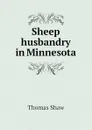 Sheep husbandry in Minnesota - Thomas Shaw