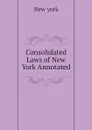 Consolidated Laws of New York Annotated - New york
