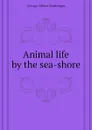 Animal life by the sea-shore - Boulenger George Albert