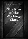 The Rise of the Working-Class - Crapsey Algernon Sidney