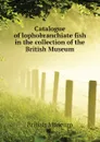 Catalogue of lophobranchiate fish in the collection of the British Museum - British Museum