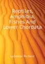 Reptiles, Amphibia, Fishes And Lower Chordata - Lydekker Richard