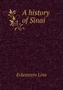 A history of Sinai - Eckenstein Lina