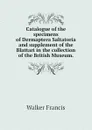 Catalogue of the specimens of Dermaptera Saltatoria and supplement of the Blattari in the collection of the British Museum. - Walker Francis