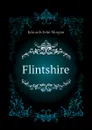 Flintshire - Edwards John Morgan