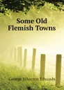 Some Old Flemish Towns - George Wharton Edwards