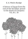 A history of Egypt from the end of the Neolithic period to the death of Cleopatra VII, B.C. 30 - E. A. Wallis Budge